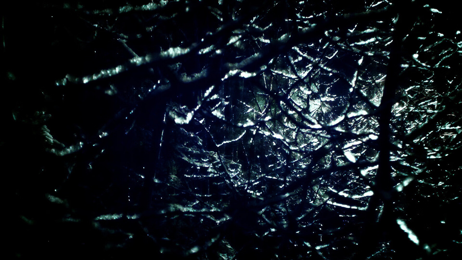 NBA球员赛场领导力训练，nba领导层