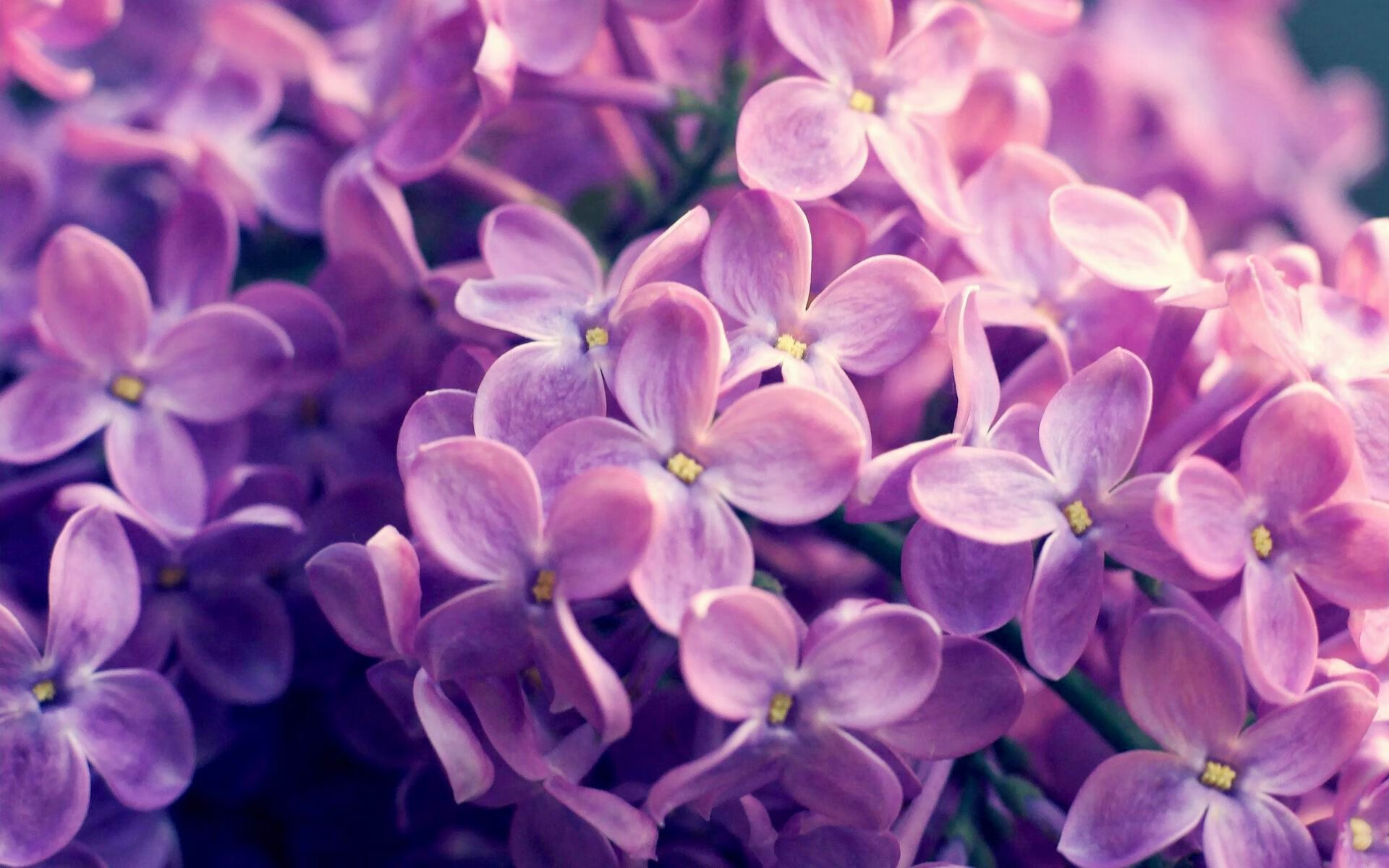 leyu.com-李娜说家庭给予自己强大情感支持，李娜情感经历