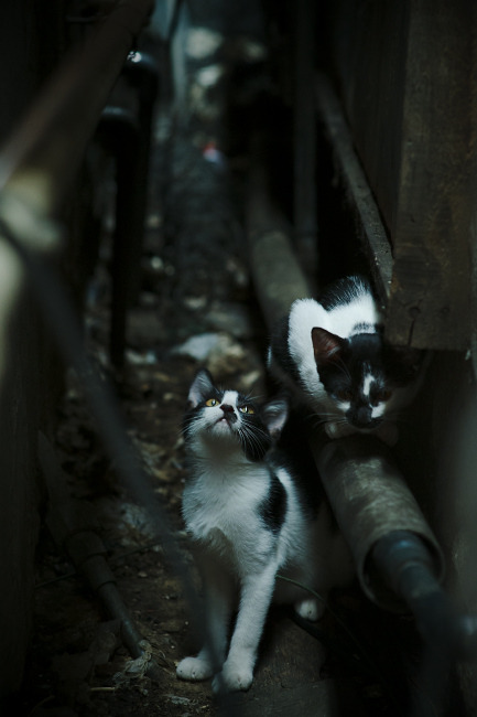 Leyu Sport下载-欧洲杯绝地反击：逆转战局的神级表现，欧洲杯绝代