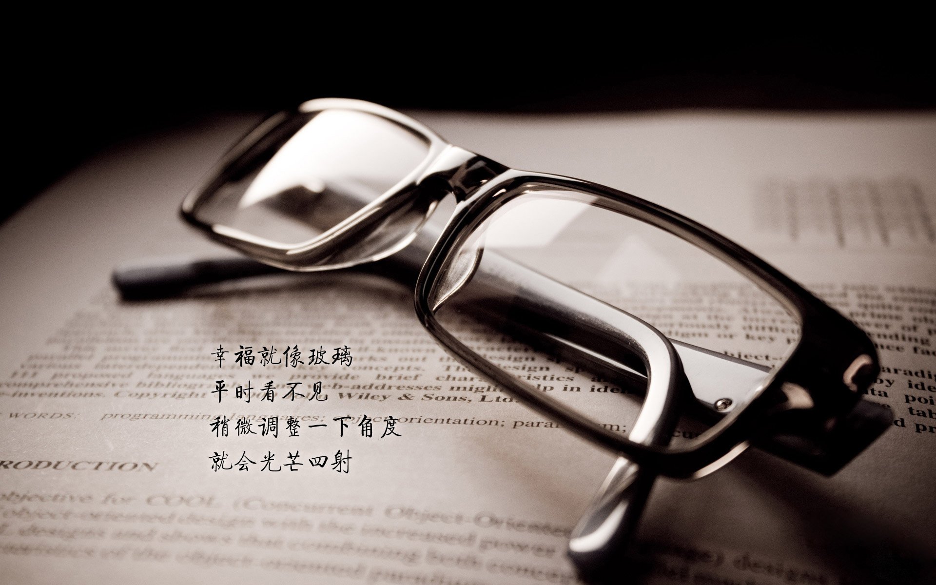 荷兰男子水球队战术变化多端,荷兰男子篮球队