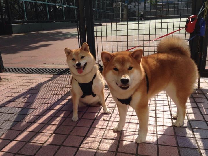 乐鱼vip-詹姆斯回顾赛季感谢团队支持，詹姆斯获胜